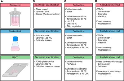 Growth and eGFP Production of CHO-K1 Suspension Cells Cultivated From Single Cell to Laboratory Scale